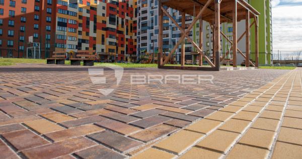 Тротуарная плитка Прямоугольник, Color Mix "Мальва", h=60 мм